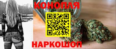 мдпв Можга