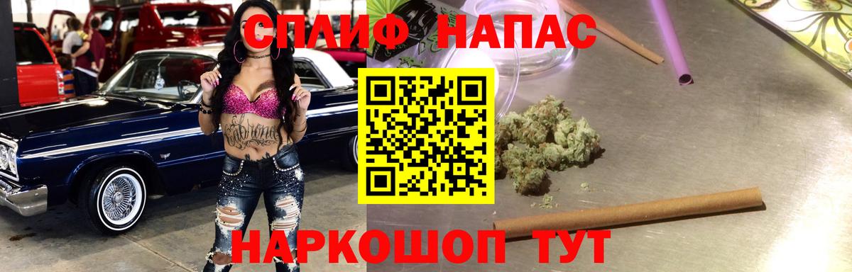 Бошки Шишки планчик Шатура